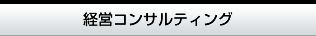 経営コンサルティング